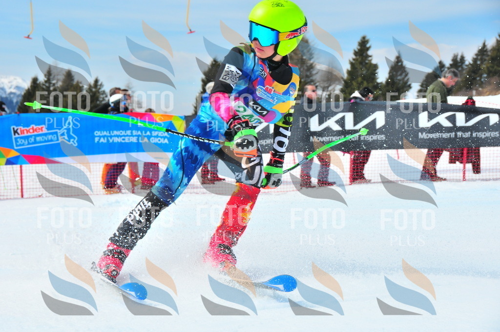 DSC_2303 | holidayphoto