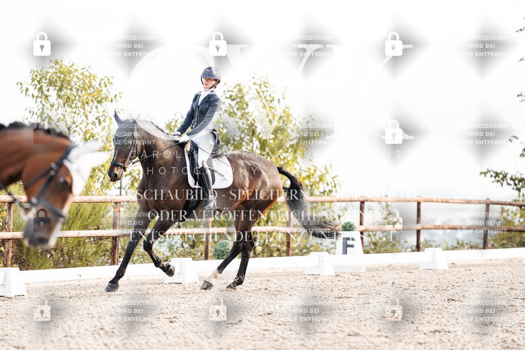 CK900458 | Turnierfotografie Pferdefotografie Trier Rheinland-Pfalz Pferdesport Reitsport Tierfotografie Sportfotografie Pferdevideo Pferdevideografie Equestrianvideography equestrianphotography  - Realisiert mit Pictrs.com