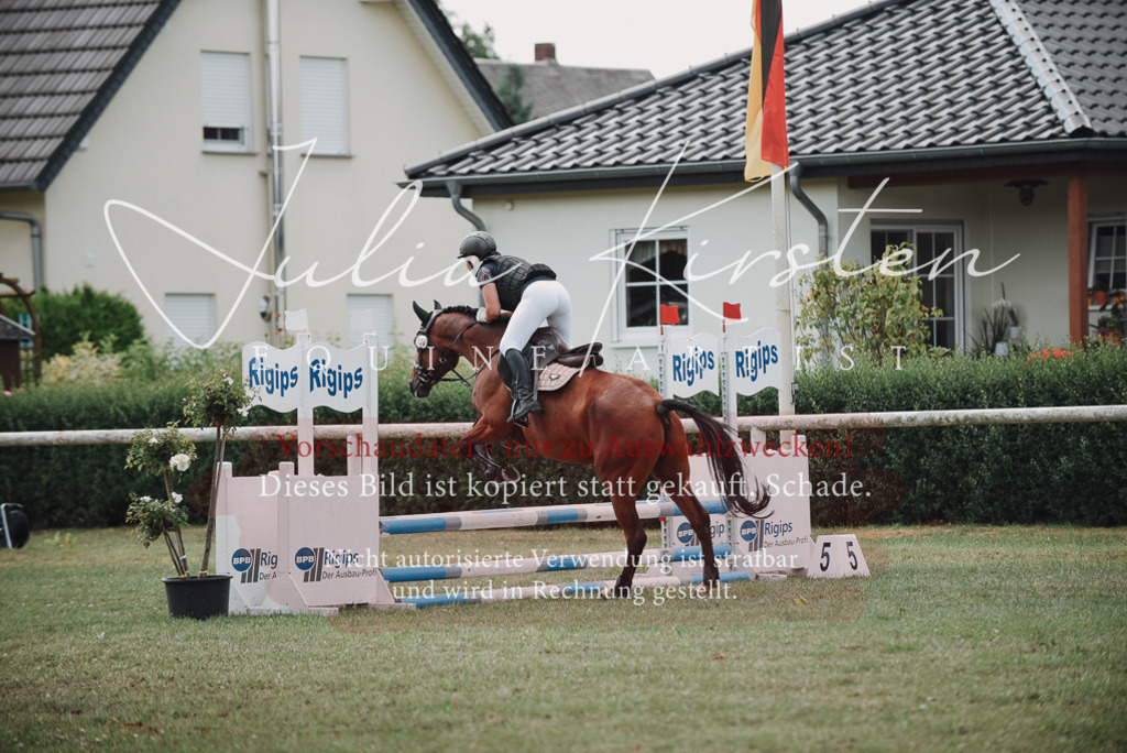 DSC_5717 | Pferde- und Turnierfotografie in Westsachsen. Pferdeportraits, Auftragszeichnungen und intuitive Kunst.