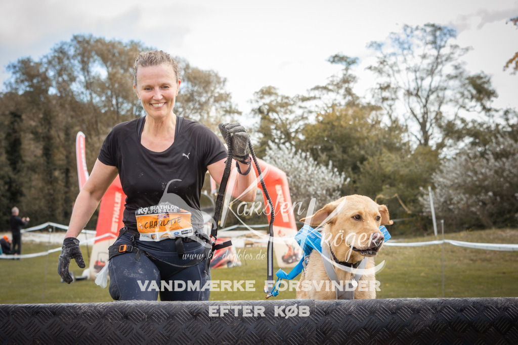 1333_ZZ91256-2 | kk-dogfotos