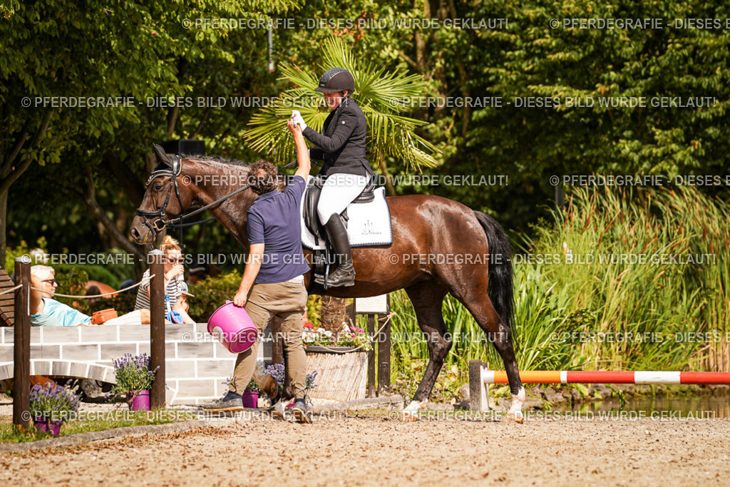 DSC01605 | Pferdegrafie