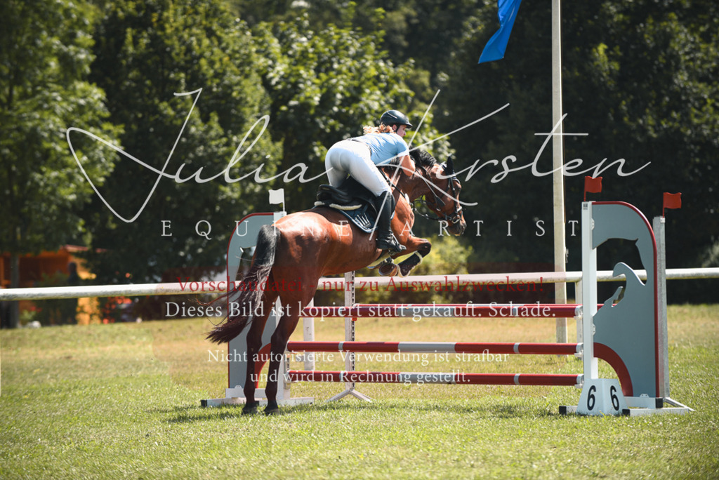DSC_6511 | Pferde- und Turnierfotografie in Westsachsen. Pferdeportraits, Auftragszeichnungen und intuitive Kunst.