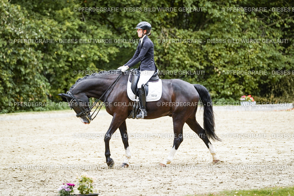 DSC06061 | Pferdegrafie