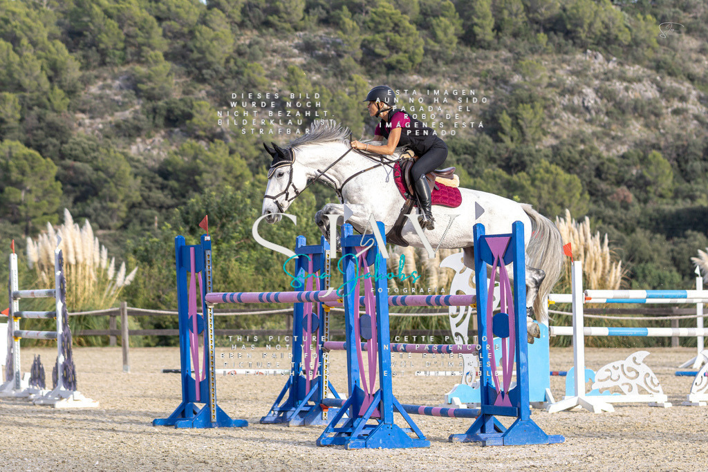 IMG_5044 | s-jay-photography - Realisiert mit Pictrs.com