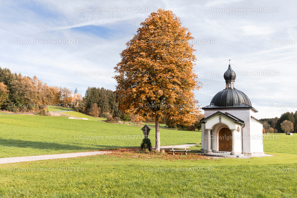 _J3A8842 | medienkrizzler - Realisiert mit Pictrs.com