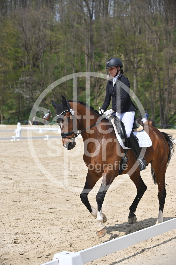 DSC_2003 | sattelsport - Realisiert mit Pictrs.com