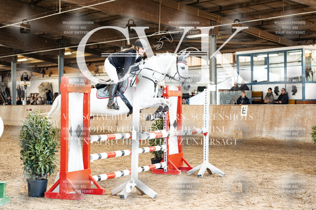 CK905176 | Turnierfotografie Pferdefotografie Trier Rheinland-Pfalz Pferdesport Reitsport Tierfotografie Sportfotografie Pferdevideo Pferdevideografie Equestrianvideography equestrianphotography  - Realisiert mit Pictrs.com