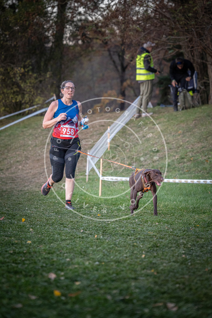 CaniXpix_0L8A2130 | Hundefotografie, Tierfotograf, Pfotenfotografie, Fotoshooting Hund, Hunde Portrait, Hundesport, Hundeportraits, Heideshooting, Hunde, Sportfotograf, Hundefotograf, Turnierhundsport, THS,  - Realisiert mit Pictrs.com