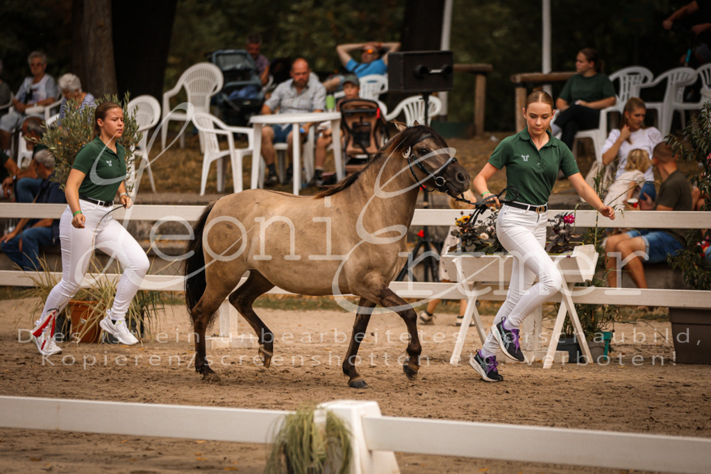 03.So00035 | Leoni Ertmer Photography - Realisiert mit Pictrs.com