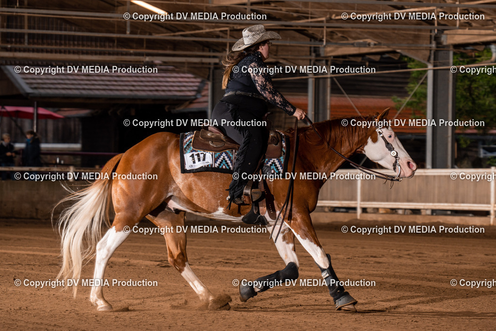 Erbach Tag 2-1139 | dv-media-shop - Realisiert mit Pictrs.com