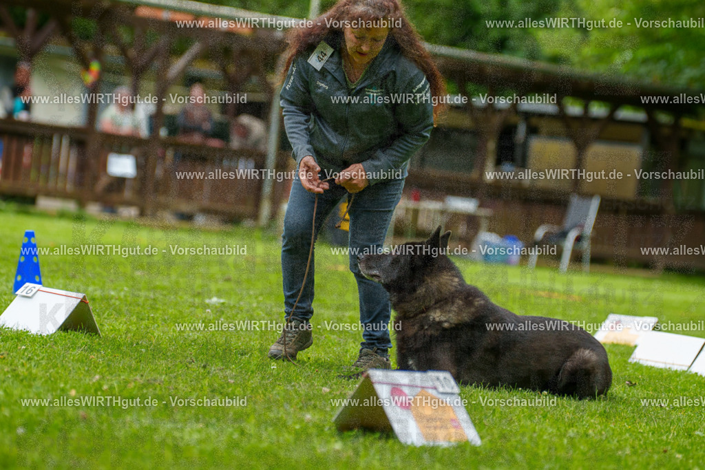 @allesWIRTHgut_Tierfotografie - www.allesWIRTHgut.de - 7R500230 | Professionelle Tierfotografie in Mönchengladbach von Daniel Wirth (allesWIRTHgut). Liebevolle & natürliche Bilder von Hunden & Katzen für unvergessliche Erinnerungen.