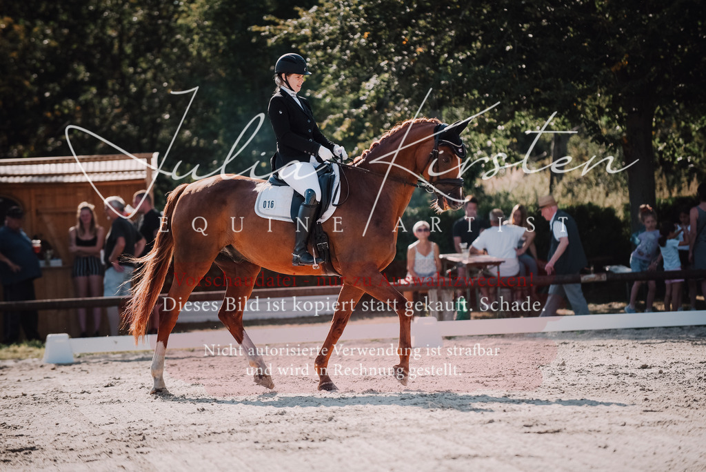 DSC_0429 | Pferde- und Turnierfotografie in Westsachsen. Pferdeportraits, Auftragszeichnungen und intuitive Kunst.