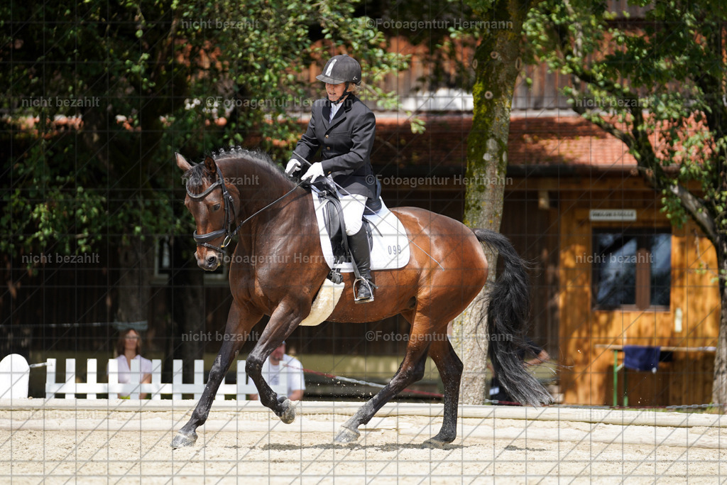 20230826-FAH05500 | Forstinning, 2023, Dressurturnier, Turniersportbilder, Turnierfotografen Bayern, Fotoagentur Herrmann, Reitsportfotografie, Turnierbilder