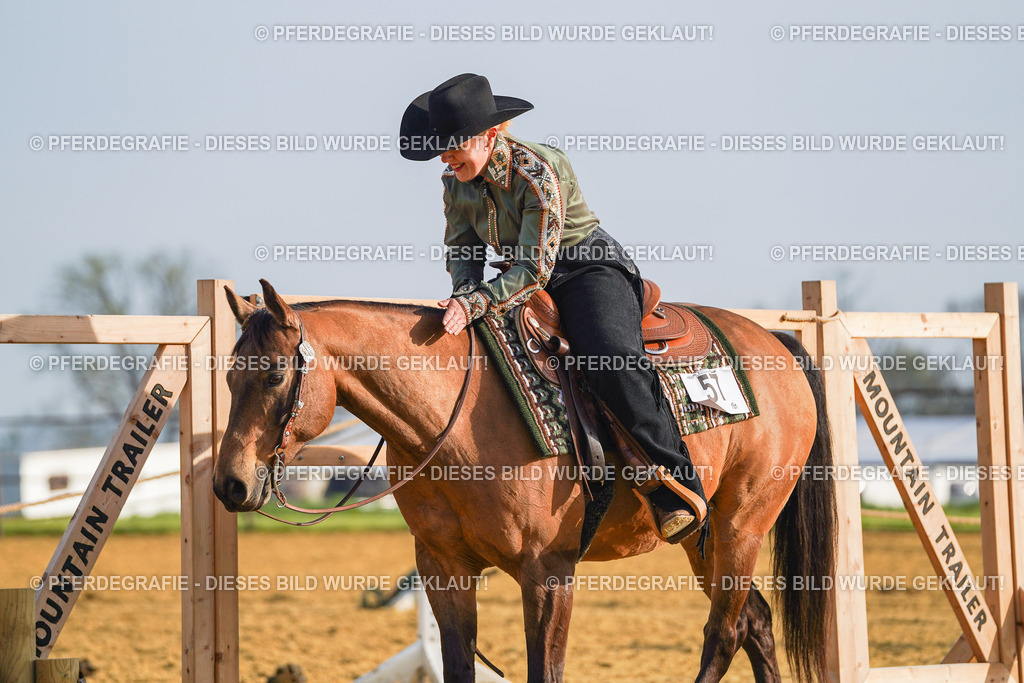 DSC00556 | Pferdegrafie