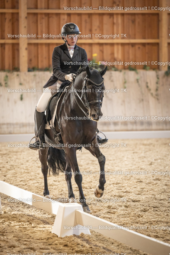 _D5A9677 | Emotionale Pferde- & People-Fotografie rund um Heidelberg, Leimen & Umgebung. Natürliche Fotos von Pferd, Mensch & Familie. Jetzt Termin sichern!