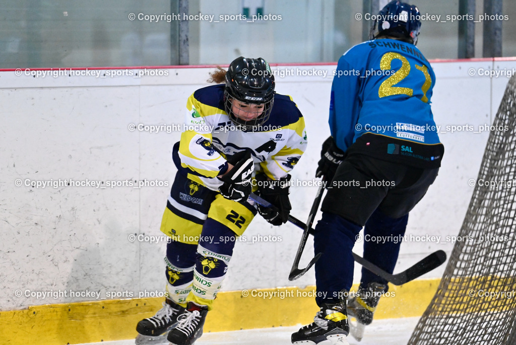BST_6396 | hockey sports photos, Pressefotos, Sportfotos, hockey247, win 2day icehockeyleague, Handball Austria, Floorball Austria, ÖVV, Kärntner Eishockeyverband, KEHV, KFV, Kärntner Fussballverband, Österreichischer Volleyballverband, Alps Hockey League, ÖFB, 