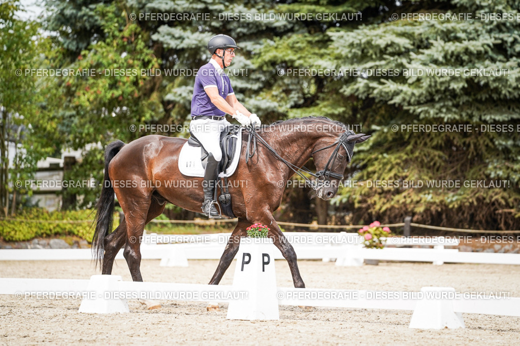 DSC06212 | Pferdegrafie