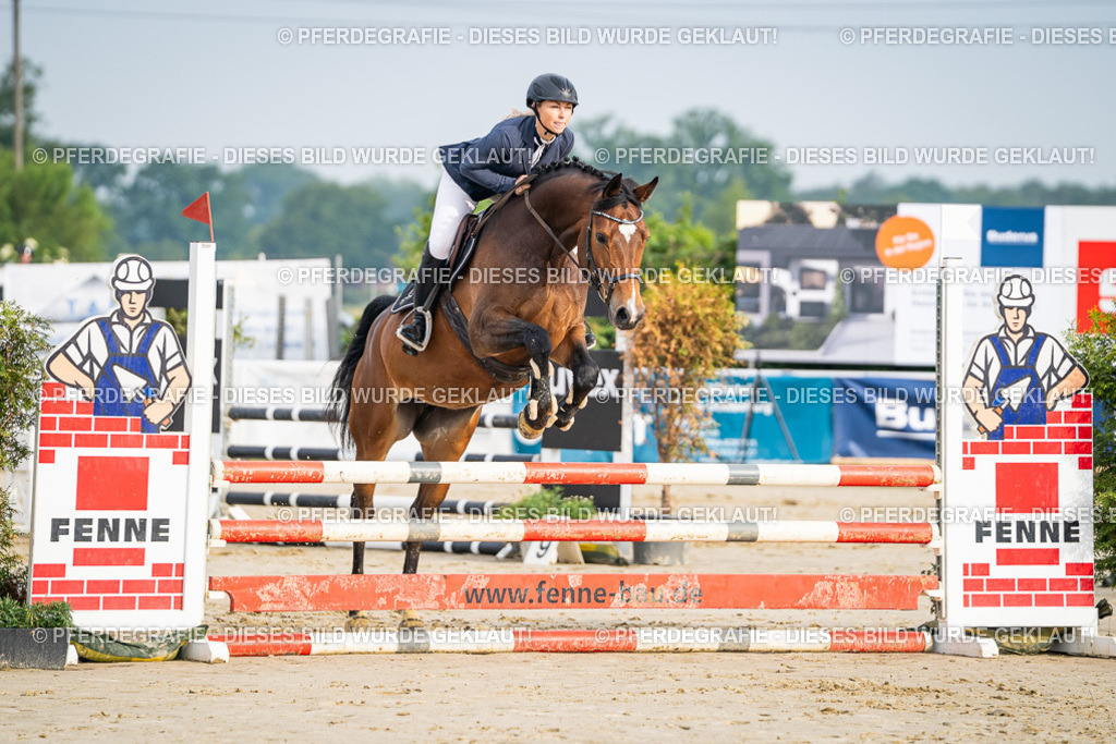 DSC08044 | Pferdegrafie