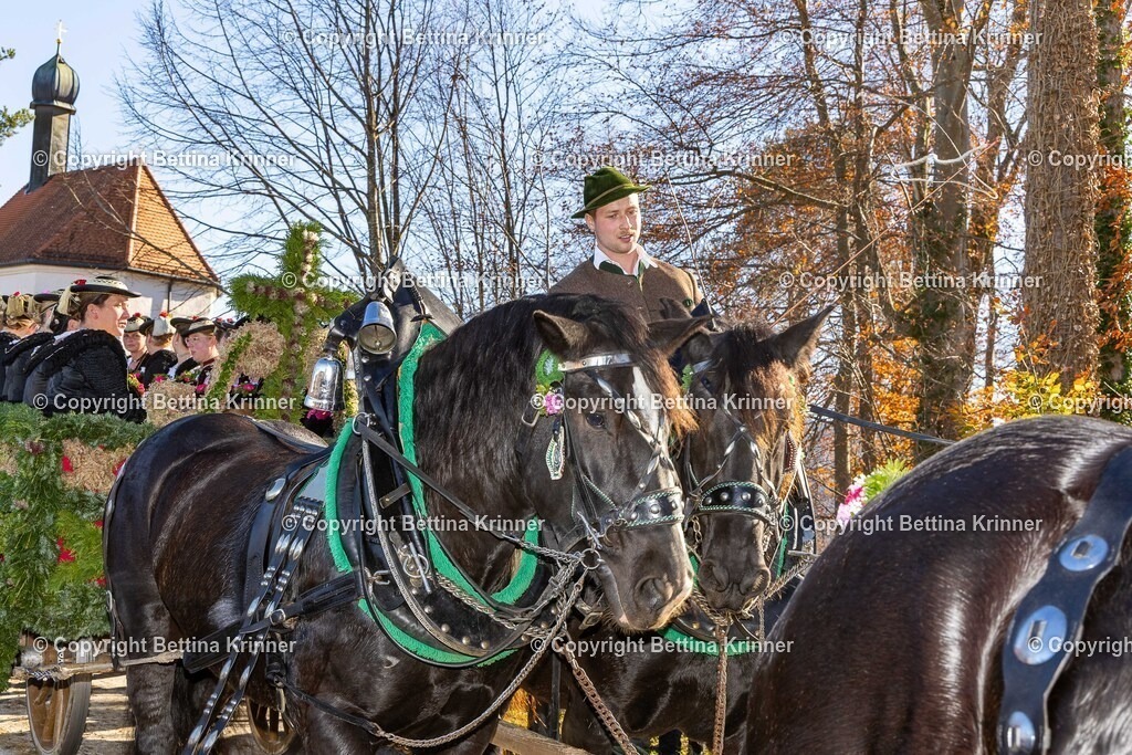 LBT25-1350 | foto-bettina-krinner - Realisiert mit Pictrs.com