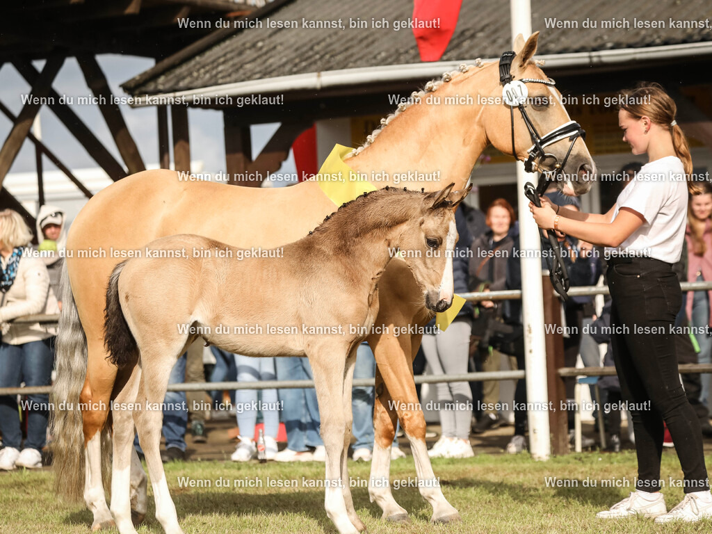 598A2497-2 | photographylinaismer - Realisiert mit Pictrs.com