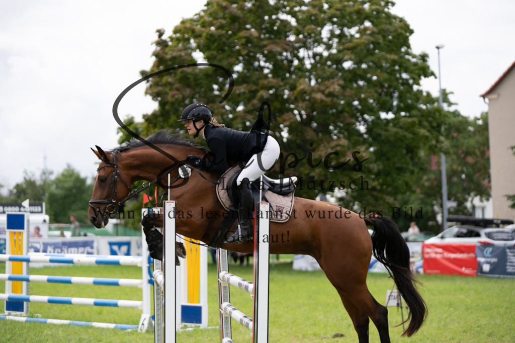 A7V04110 | Pferdefotograf