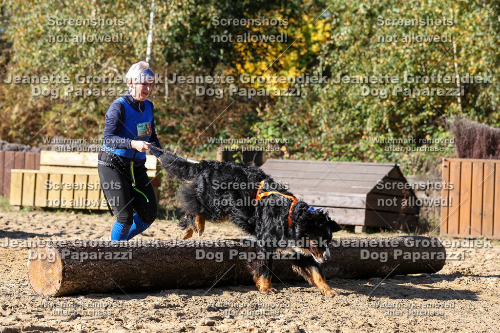 Dog Paparazzi - Strongdog 10-25-2907 | Dog Paparazzi Jeanette Grottendiek Fotografie & Videografie - Realisiert mit Pictrs.com