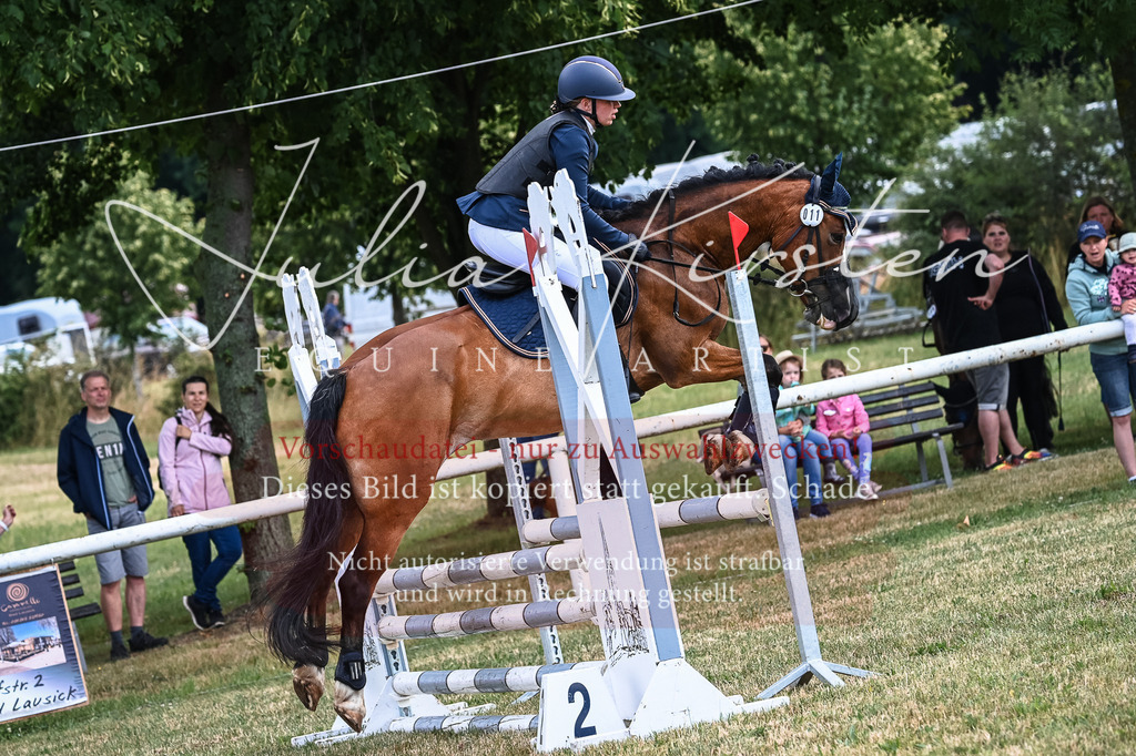 DSC_8216 | Pferde- und Turnierfotografie in Westsachsen. Pferdeportraits, Auftragszeichnungen und intuitive Kunst.