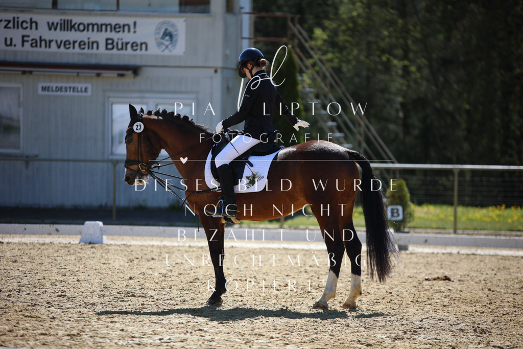 IMGT0816 | pl-fotografie