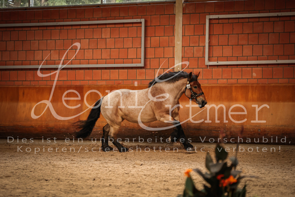 SaFL00306 | Leoni Ertmer Photography - Realisiert mit Pictrs.com