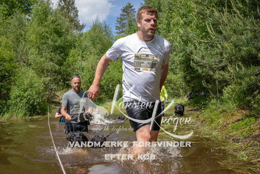 1314DKK994203 | kk-dogfotos