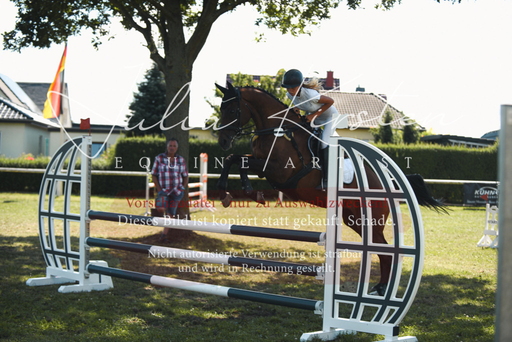 DSC_7021 | Pferde- und Turnierfotografie in Westsachsen. Pferdeportraits, Auftragszeichnungen und intuitive Kunst.