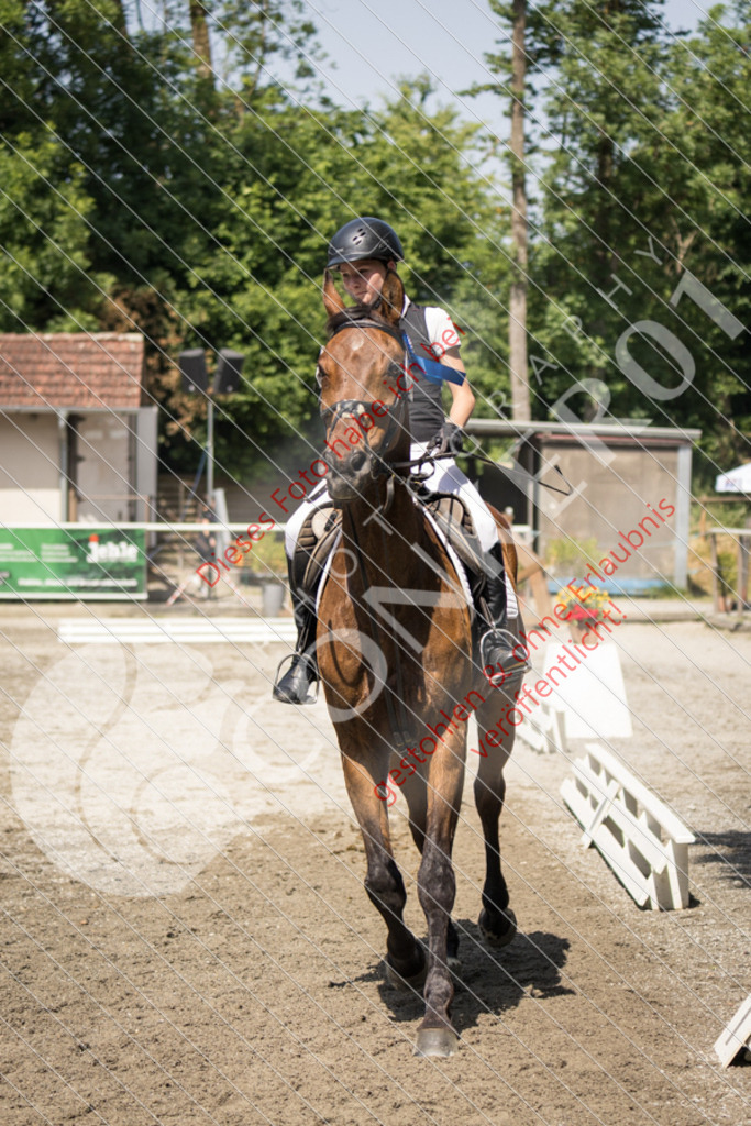 IMG_4778 | Sport-, Event- und Tierfotos in Profiqualität. Einfach auswählen, bestellen und herunterladen. Dein Moment – perfekt festgehalten.