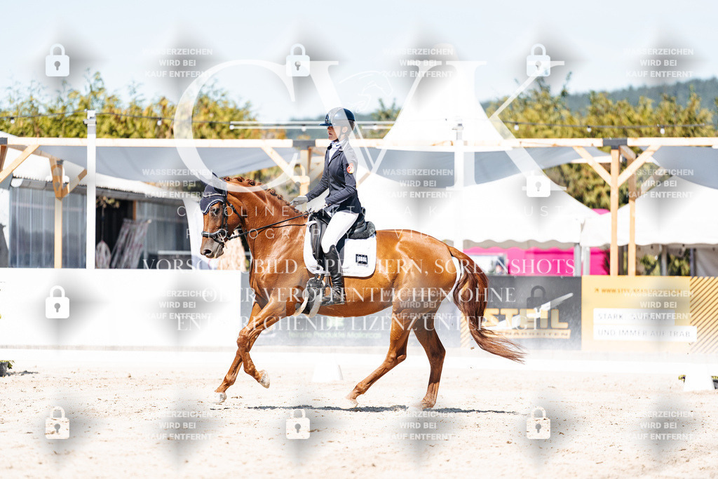 CK909668 | Turnierfotografie Pferdefotografie Trier Rheinland-Pfalz Pferdesport Reitsport Tierfotografie Sportfotografie Pferdevideo Pferdevideografie Equestrianvideography equestrianphotography  - Realisiert mit Pictrs.com