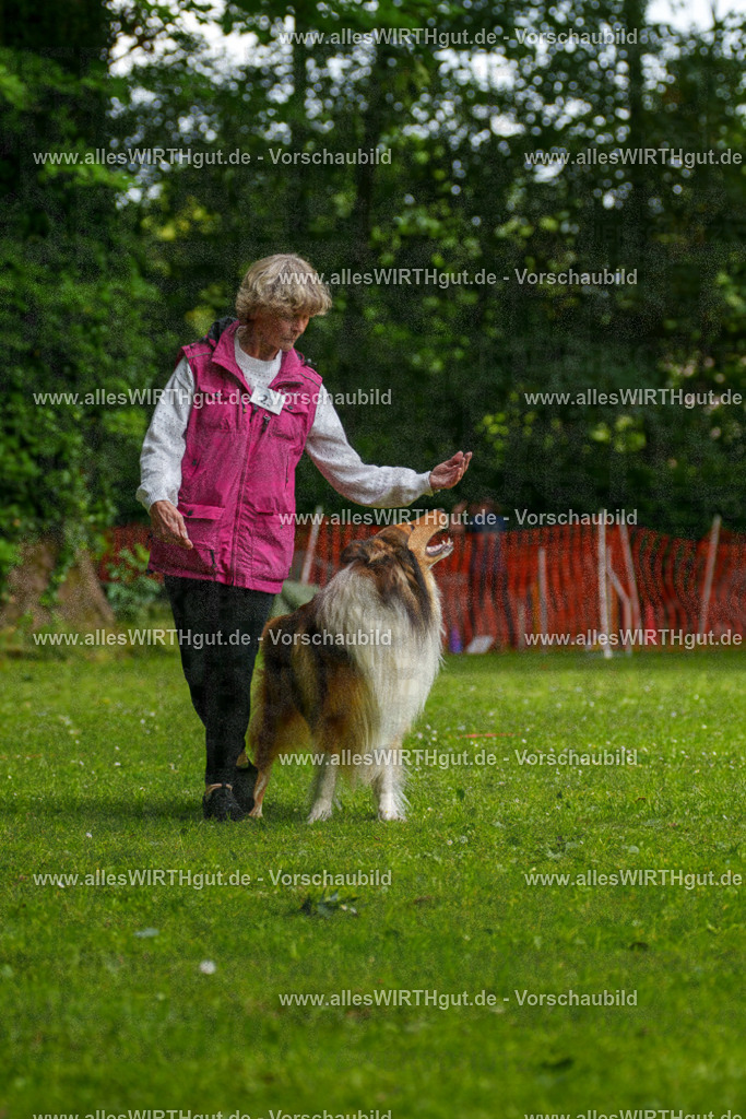 @allesWIRTHgut_Tierfotografie - www.allesWIRTHgut.de - 095004-7R507687 | Professionelle Tierfotografie in Mönchengladbach von Daniel Wirth (allesWIRTHgut). Liebevolle & natürliche Bilder von Hunden & Katzen für unvergessliche Erinnerungen.