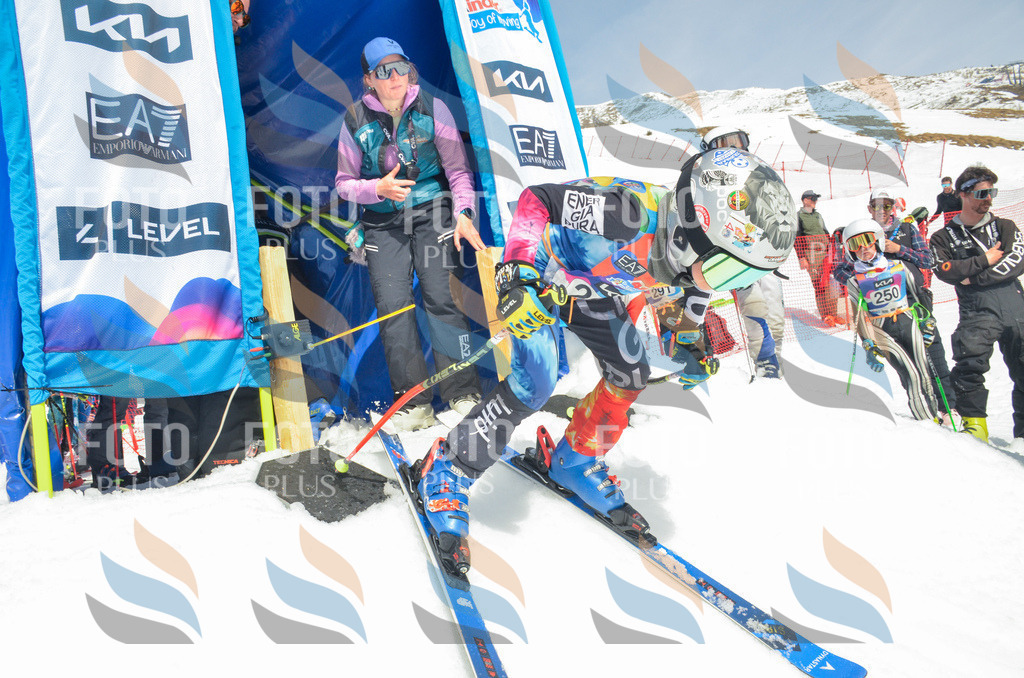 _ELE7218 | holidayphoto