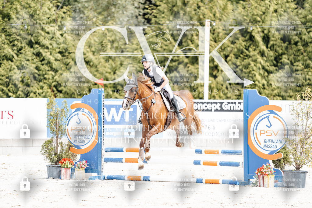 CK906542 | Turnierfotografie Pferdefotografie Trier Rheinland-Pfalz Pferdesport Reitsport Tierfotografie Sportfotografie Pferdevideo Pferdevideografie Equestrianvideography equestrianphotography  - Realisiert mit Pictrs.com