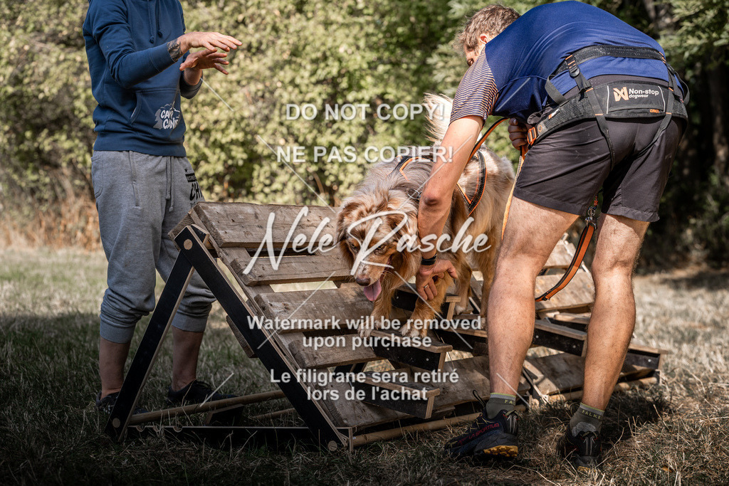 nelerasche_slaw24So_254 | nelerasche