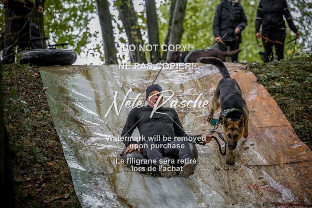nelerasche_Hunsrück_Sa1430-1500_285-final | nelerasche