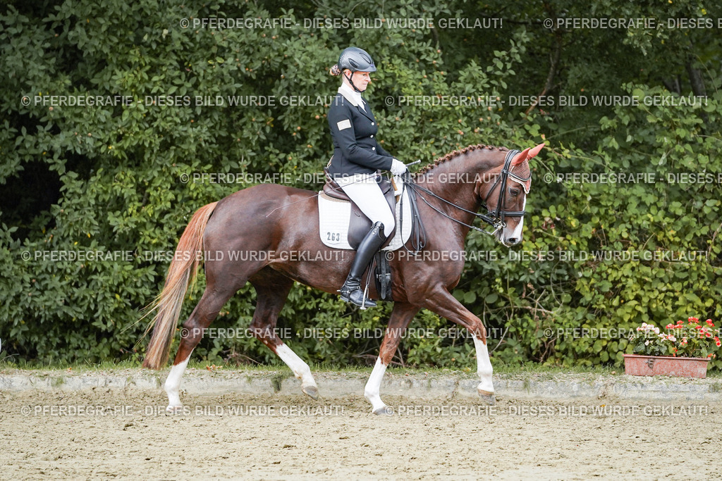 DSC06715 | Pferdegrafie