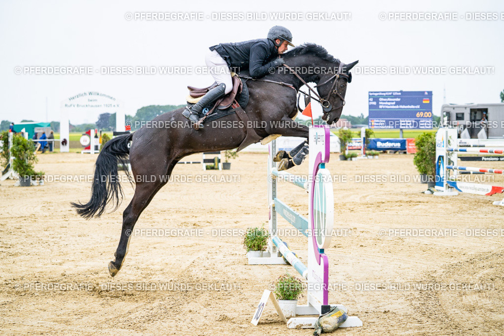 DSC07991 | Pferdegrafie