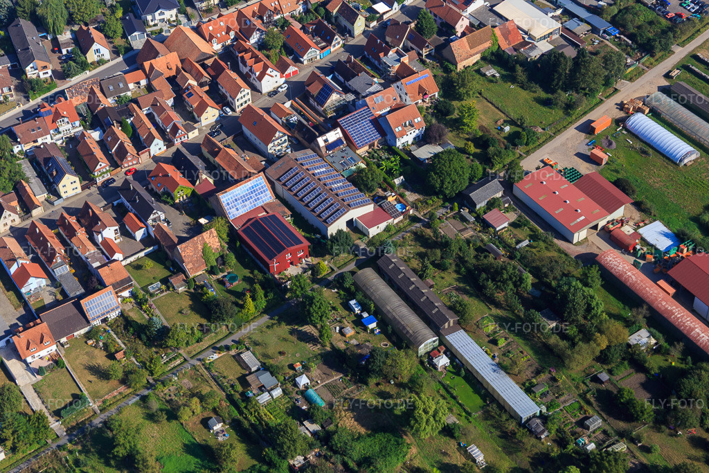 Luftbild: Landwirtschaftliche Hallen am Ettenbaum in Kandel im Bundesland Rheinland-Pfalz in Deutschland. Foto: IMG_094972.jpg vom 24.09.2016 durch Werner Riehm/FLY-FOTO.de