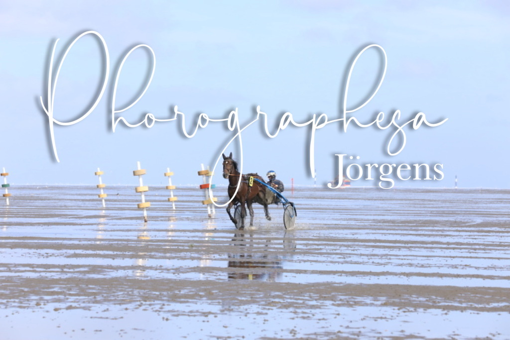 IMG_8061 | photographesa-joergens - Realisiert mit Pictrs.com