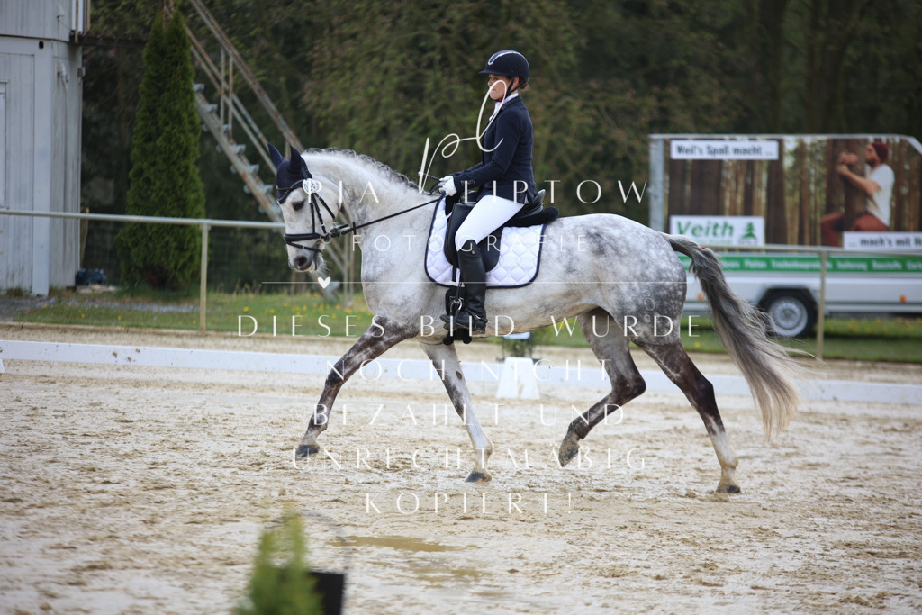 IMGT2823 | pl-fotografie