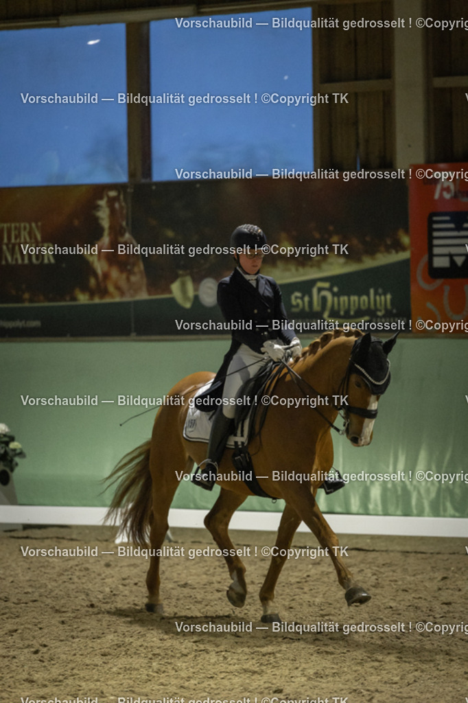 _D5A7475 | Emotionale Pferde- & People-Fotografie rund um Heidelberg, Leimen & Umgebung. Natürliche Fotos von Pferd, Mensch & Familie. Jetzt Termin sichern!