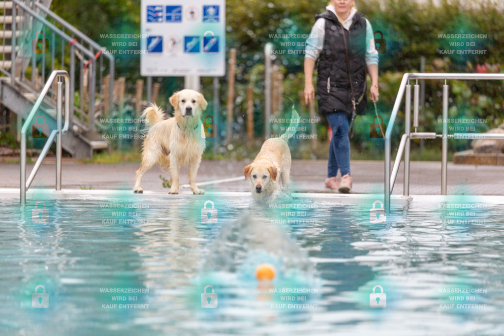 _HP_7113_1000o | HetPix, HetPix Fotodesign, Fotografie, Fotodesign, Webshop, Sportfotografie, Portraitfotografie, Onlineshop, Sportfotografie, Polch, Motorsportfotografie, Eventfotografie