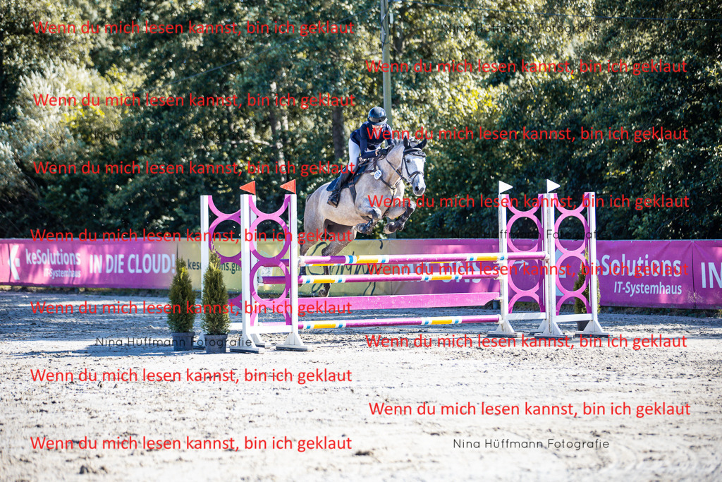BK1A5874 | Turnierbilder Turnierfotos Nina Hüffmann Turnierfotografie Pferdefotografie Tierzeichnung Haustierzeichnung Pferdezeichnung Hundezeichnung Videograf  - Realisiert mit Pictrs.com