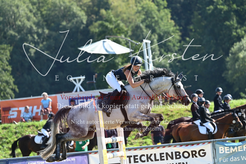 DSC_6367 | Pferde- und Turnierfotografie in Westsachsen. Pferdeportraits, Auftragszeichnungen und intuitive Kunst.