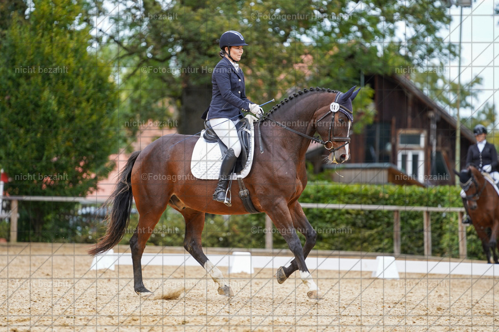 20231007-SN_00613 | Diessen am Ammersee, 2023, Dressur- und Springturnier, Reitsport, Turnierfotografie, Pferdebilder, Reitbilder, Turnierfotografen Bayern, Fotoagentur Herrmann