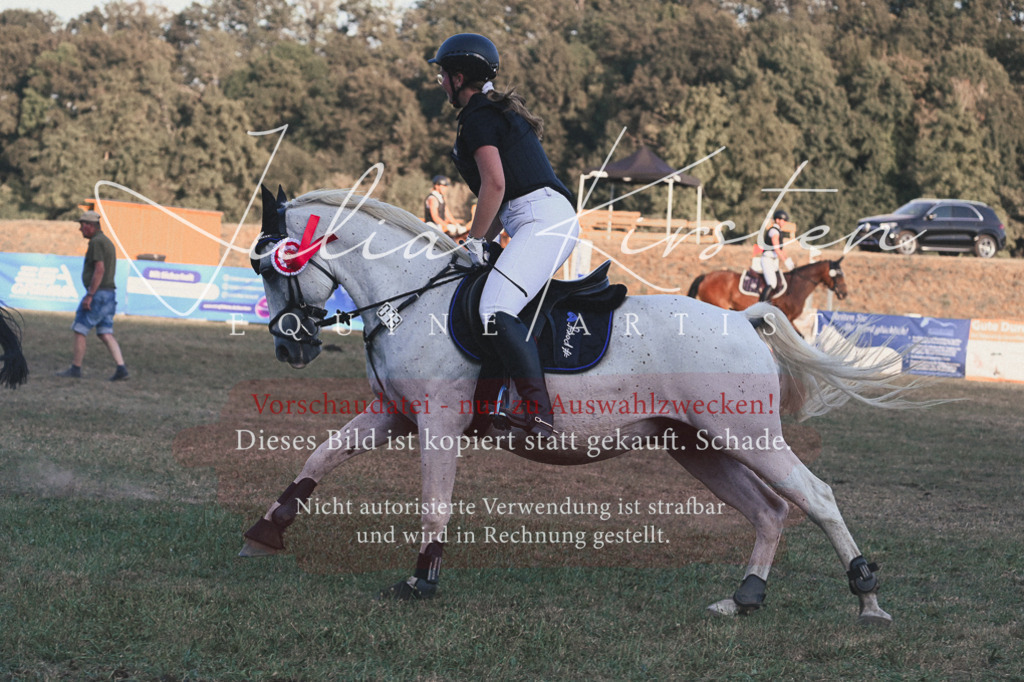 DSC_9303 | Pferde- und Turnierfotografie in Westsachsen. Pferdeportraits, Auftragszeichnungen und intuitive Kunst.
