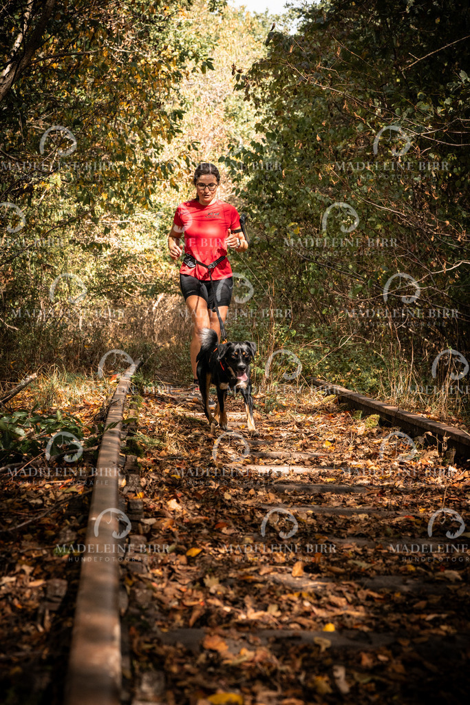 madeleinebirr.fotografie.2026.cc.hunsrueck.12-13Uhr.153 | hundefotografie-birr